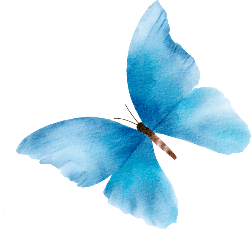 Blue Butterfly Watercolor